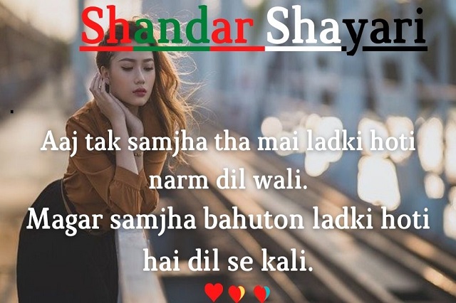 shandar shayari, Status, Quotes, मजेदार शायरी | शानदार शायरी हिंदी.