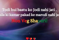 non veg love shayari